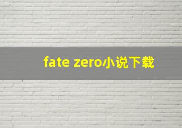 fate zero小说下载